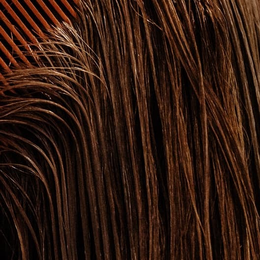 PLATINUM shampoo membership at Luxe Salon & CO in Eva, AL